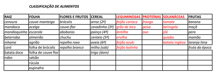 Atividade de classificação de Alimentos realizada no Berçário Antroposófico Abraço